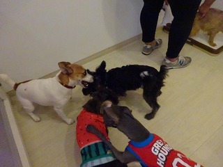 DSC02954.jpg