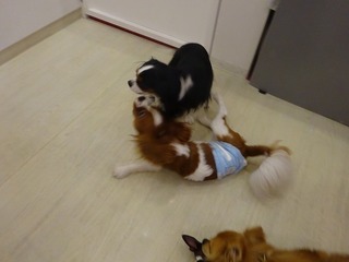 DSC02985.jpg
