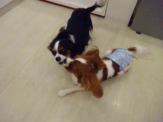 DSC02986.jpg