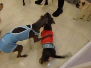 DSC02989.jpg