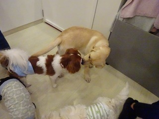 DSC02992.jpg
