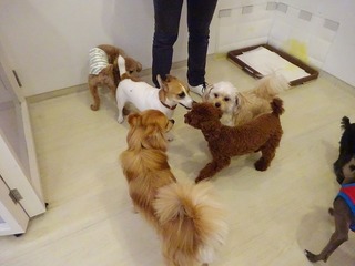 DSC02994.jpg