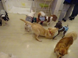 DSC03005.jpg