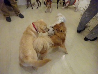 DSC03015.jpg