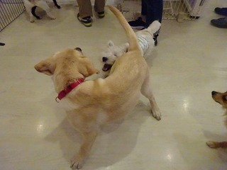 DSC03022.jpg