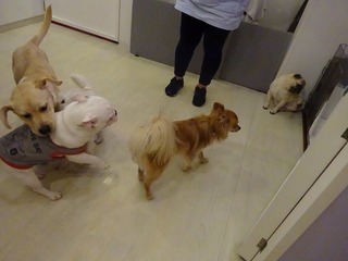 DSC03029.jpg