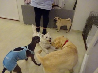 DSC03037.jpg
