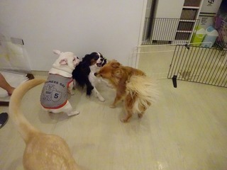 DSC03049.jpg