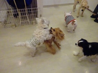DSC03050.jpg