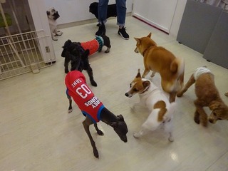 DSC03059.jpg