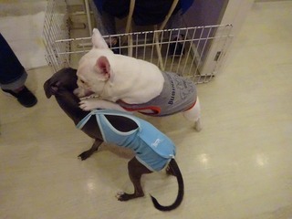 DSC03062.jpg