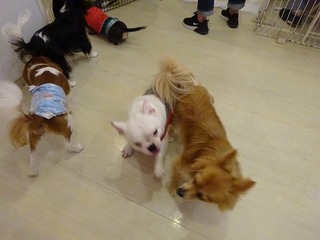 DSC03073.jpg