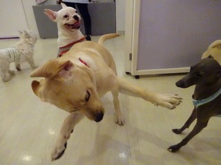 DSC03083.jpg