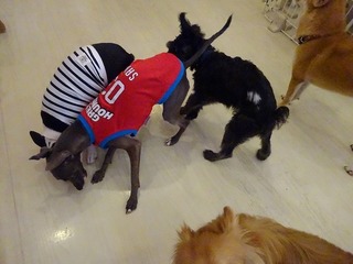DSC03085.jpg
