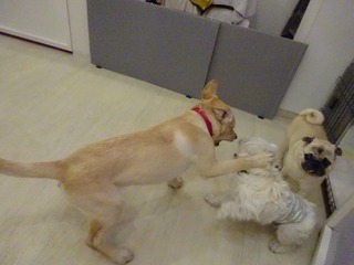 DSC03087.jpg