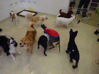 DSC03092.jpg