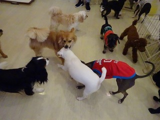 DSC03099.jpg