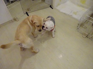 DSC03099.jpg