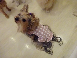 DSC03109.jpg