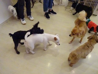 DSC03111.jpg