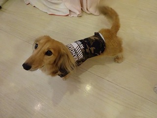DSC03115.jpg