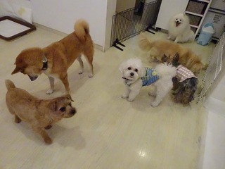 DSC03119.jpg