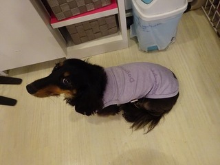 DSC03124.jpg
