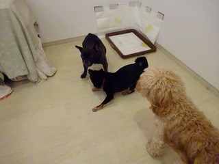 DSC03129.jpg
