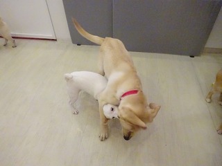 DSC03147.jpg