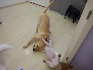 DSC03155.jpg