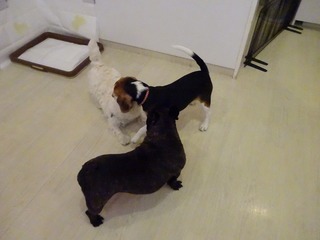 DSC03155.jpg
