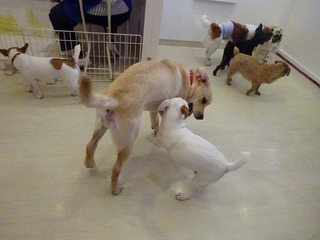 DSC03162.jpg