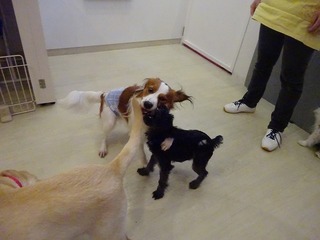 DSC03169.jpg