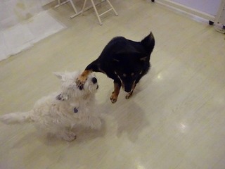 DSC03174.jpg