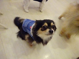 DSC03209.jpg