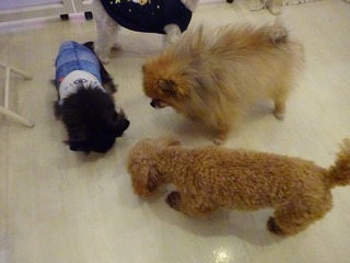 DSC03210.jpg