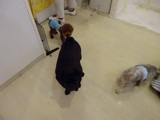 DSC03245.jpg