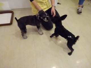 DSC03288.jpg