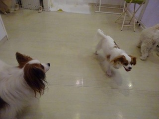 DSC03293.jpg