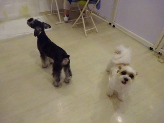 DSC03304.jpg