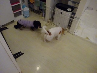 DSC03309.jpg