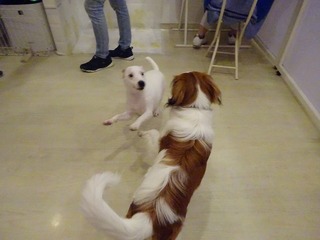 DSC03315.jpg