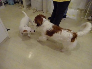 DSC03318.jpg