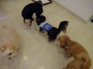 DSC03319.jpg