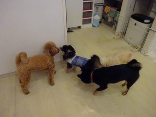 DSC03323.jpg