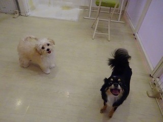 DSC03337.jpg