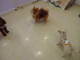 DSC03343.jpg