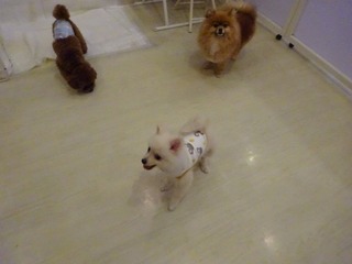 DSC03353.jpg
