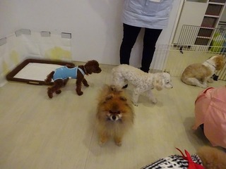 DSC03367.jpg