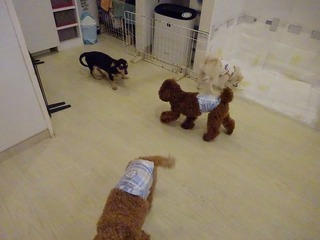 DSC03369.jpg